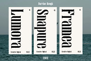 Darvine Rough, a Serif Font by Craft Supply Co. (Thumbnail 6 of 8)