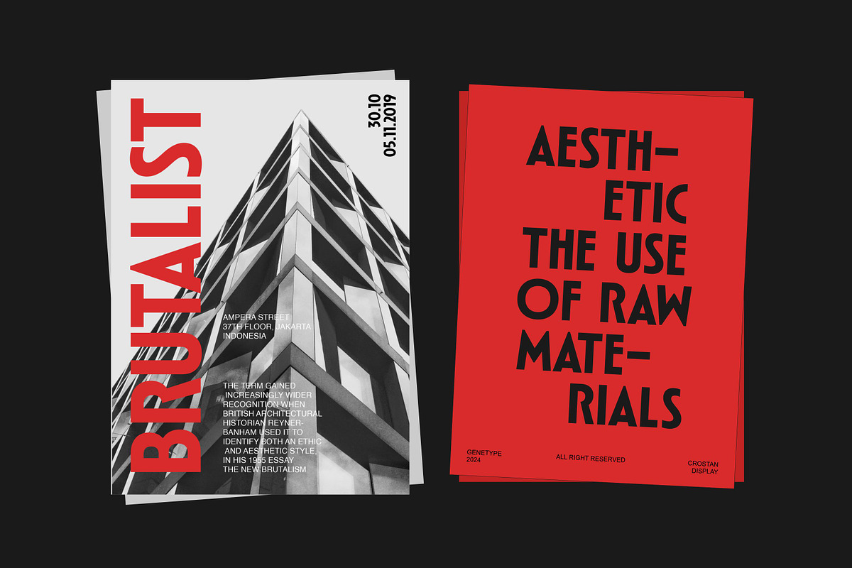 Crostan Display Font, a Sans Serif Font by Genetype (Photo 6 of 11)