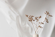 WINTER FLORALS watercolor set, a Decorative Illustration by Yuliia Lashevska (Thumbnail 4 of 12)