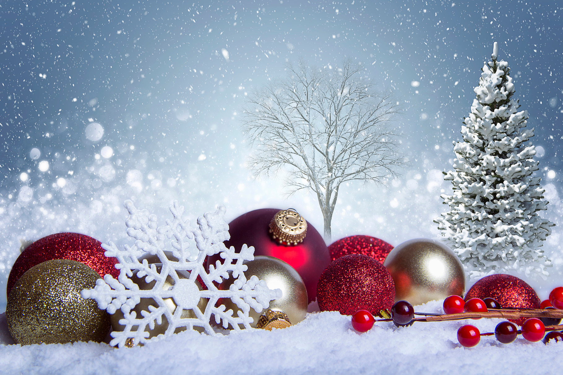 White christmas scene featuring christmas, xmas, and snowflakes ...