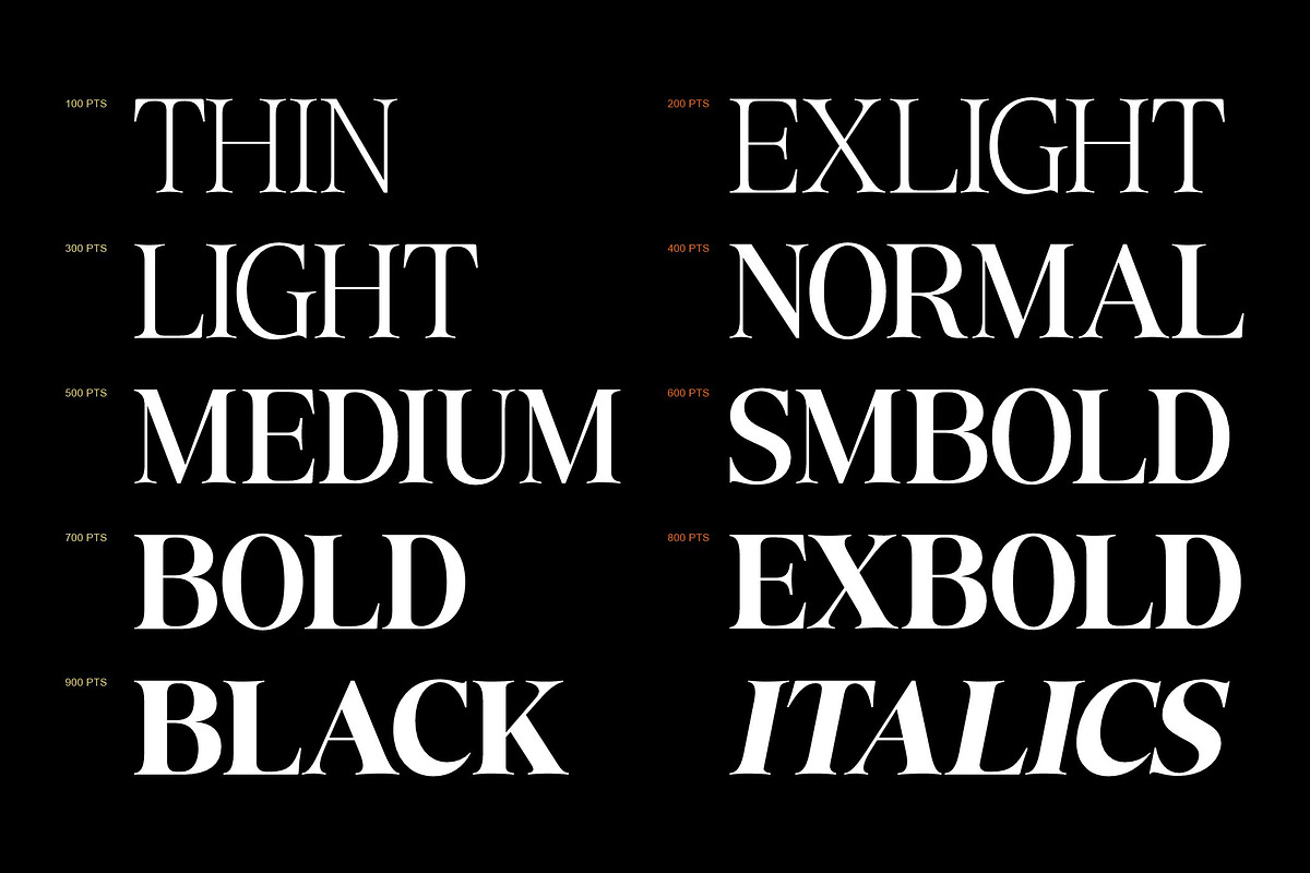 Compart Pyapari, a Serif Font by Glyphminds Studios (Photo 2 of 10)