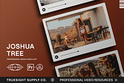 Joshua Tree - Video LUTs, a Brushes & More by Truesight Supply Co. (Thumbnail 1 of 6)