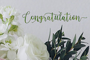 Anindita Script, a Script Font by Areatype (Thumbnail 9 of 10)