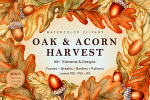 Oak&Acorn Harvest watercolor clipart