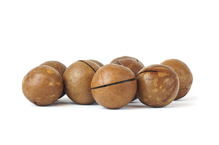 macadamia nuts on white background, a Food & Drink Photo by AlexBush