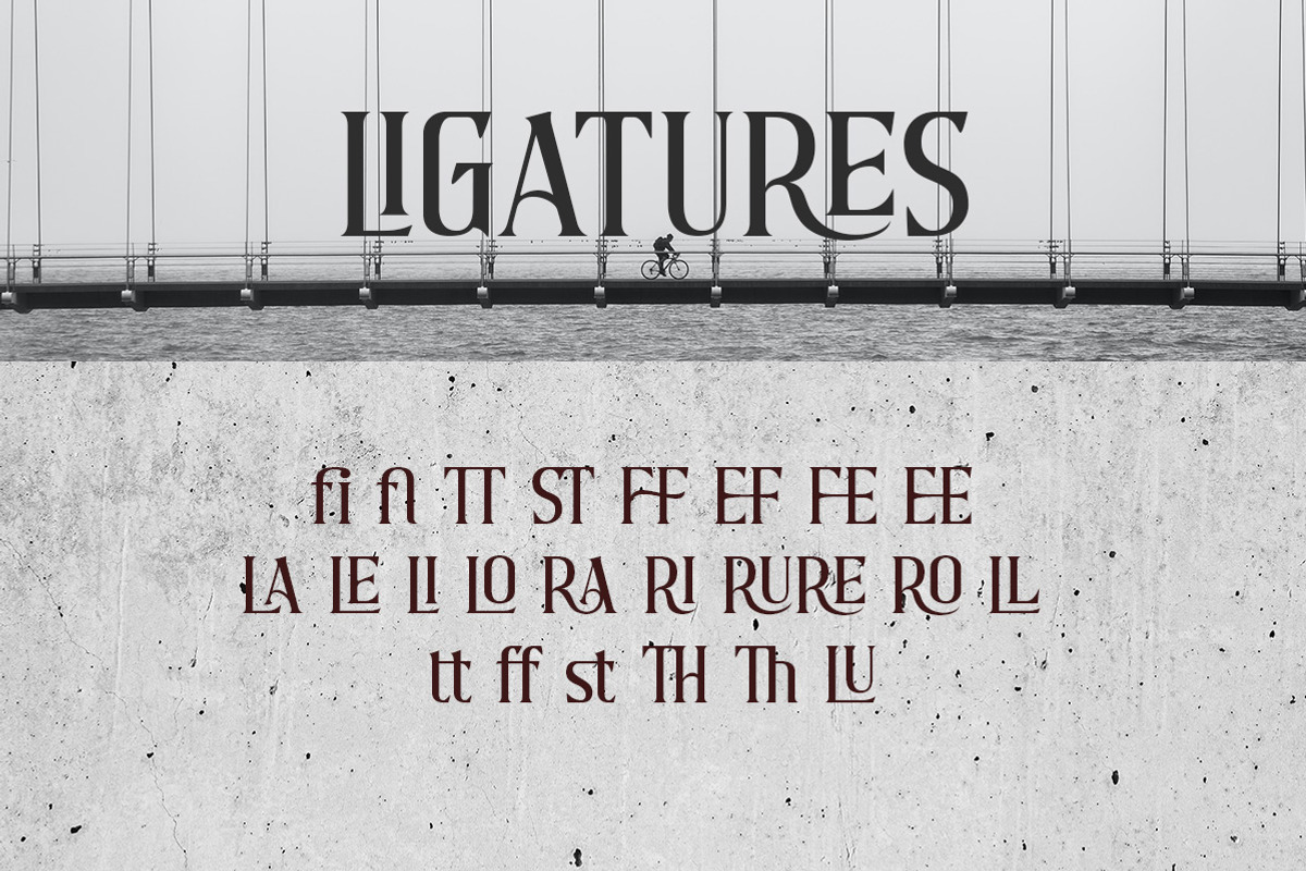 Briston, a Serif Font by Typeskets (Photo 9 of 13)