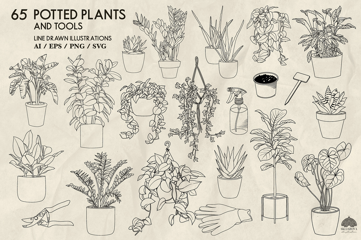 Potted Plants Line Art + Procreate, an Object Illustration by Skliarova (Photo 3 of 4)