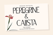 Cairoline, a Sans Serif Font by Muksal Creative (Thumbnail 7 of 10)