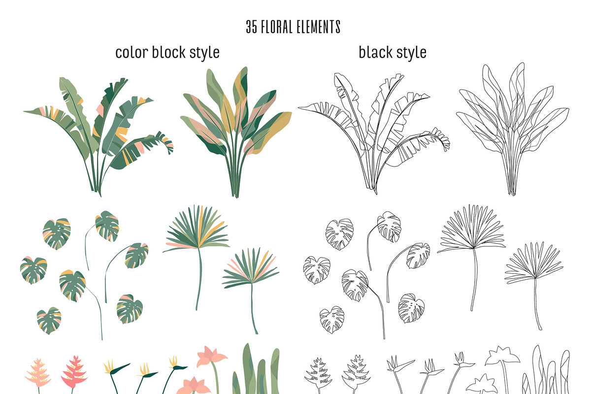 Jungle Girls feminine collection, a Graphic by dasha mo (Photo 4 of 8)