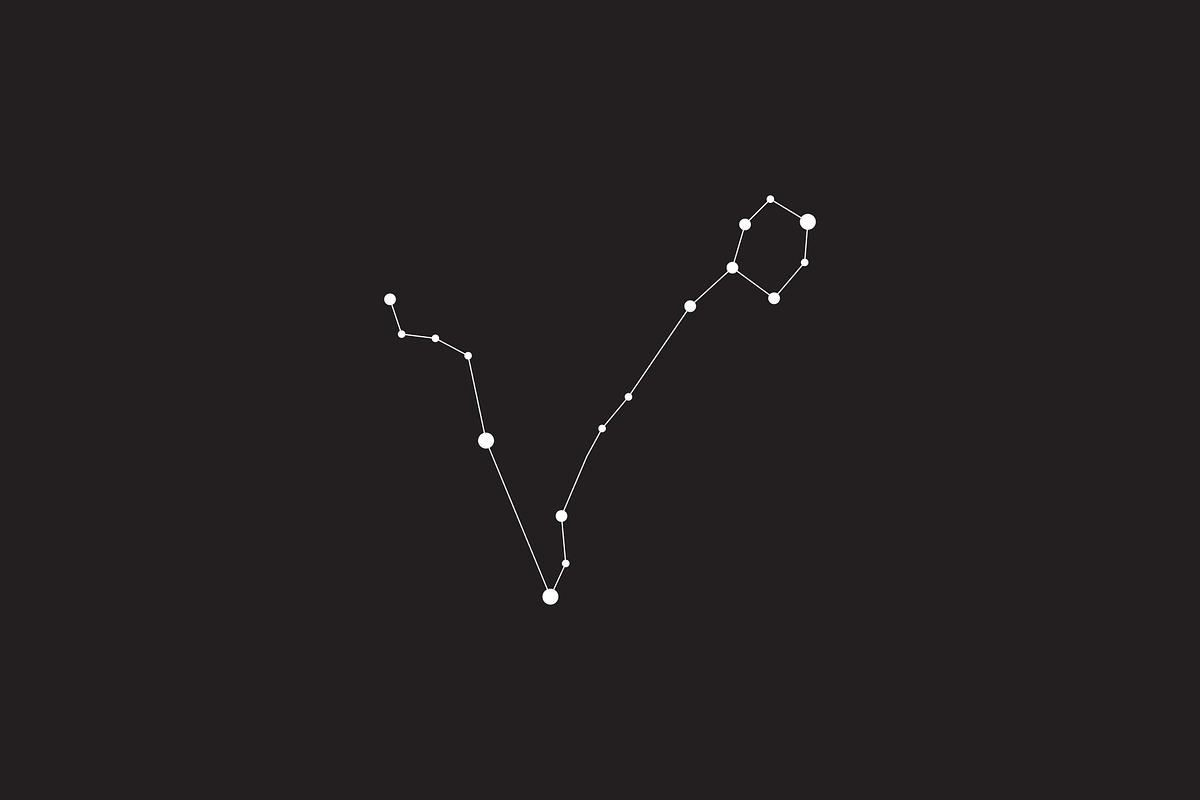 12 Vector Constellation Signs, an Illustration by Kessens (Photo 8 of 12)
