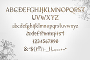 Herb - floral ligature font, a Serif Font by Innire (Thumbnail 10 of 10)