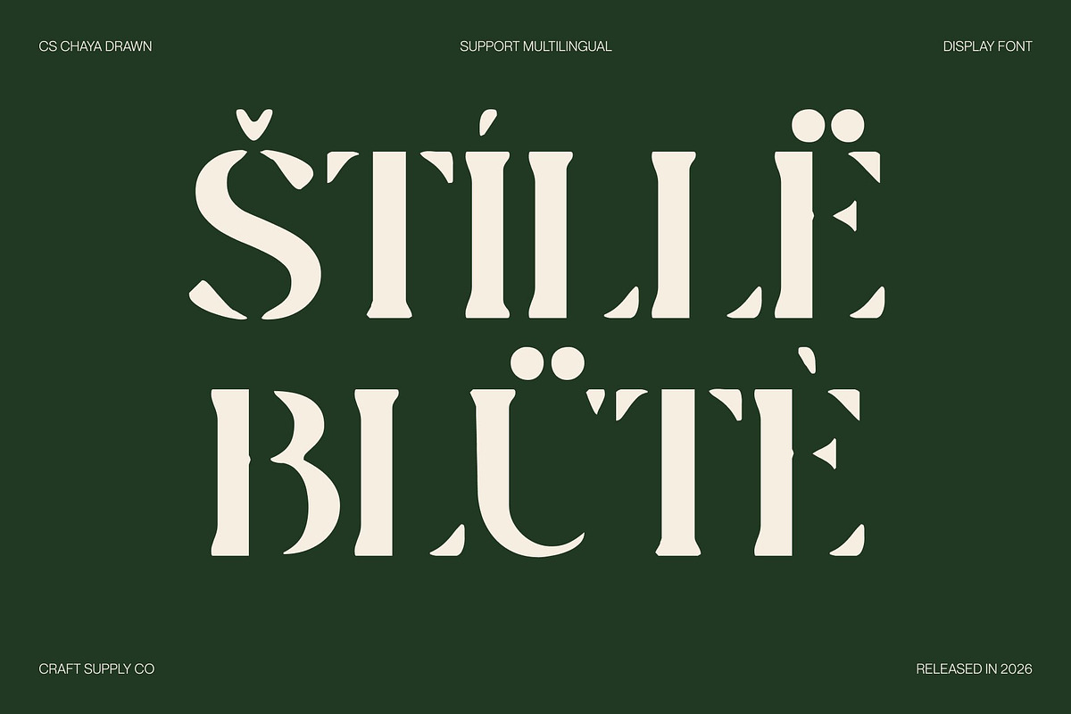 CS Chaya Drawn, a Serif Font by Craft Supply Co. (Photo 7 of 8)