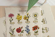 Birth Flowers & Birthstone Clipart, an Illustration by Belusuab (Thumbnail 6 of 16)