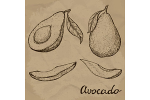 Hand drawn avocado set. Whole avocado, sliced pieces and half sketch. Engraved style illustration. Vector illustration EPS10