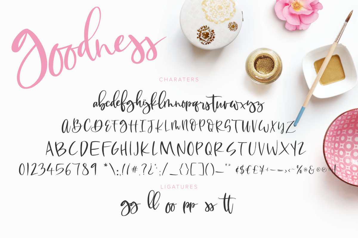 Goodness Script Font preview 8