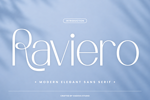 Raviero Modern Sans Serif Font