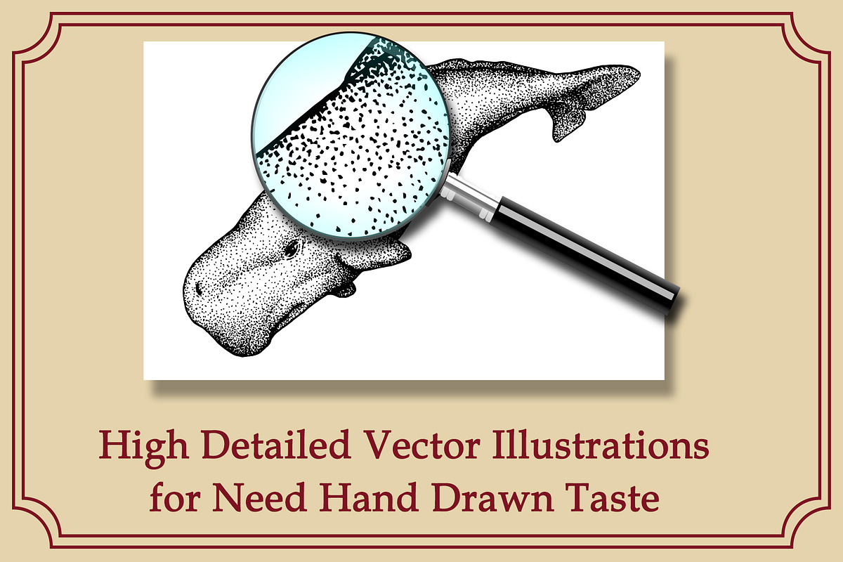 Giant Sea Animal Hand Drawn Elements, an Animal Illustration by Artolabs (Photo 3 of 5)