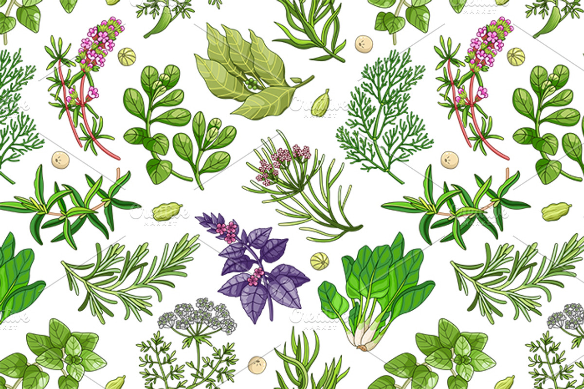 Green pattern with herbs and spices, a Pattern Graphic by Primula`s shop (Photo 2 of 3)