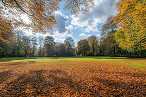 Vibrant yellow and orange autumn, a Photo by Pavel_design