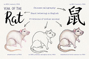 12 Chinese Zodiac Animals set, an Animal Illustration by Alena Solonshchikova (Thumbnail 10 of 13)