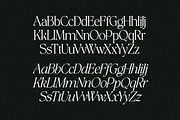 The Bilstein Editorial, a Serif Font by Pista Mova (Thumbnail 15 of 20)