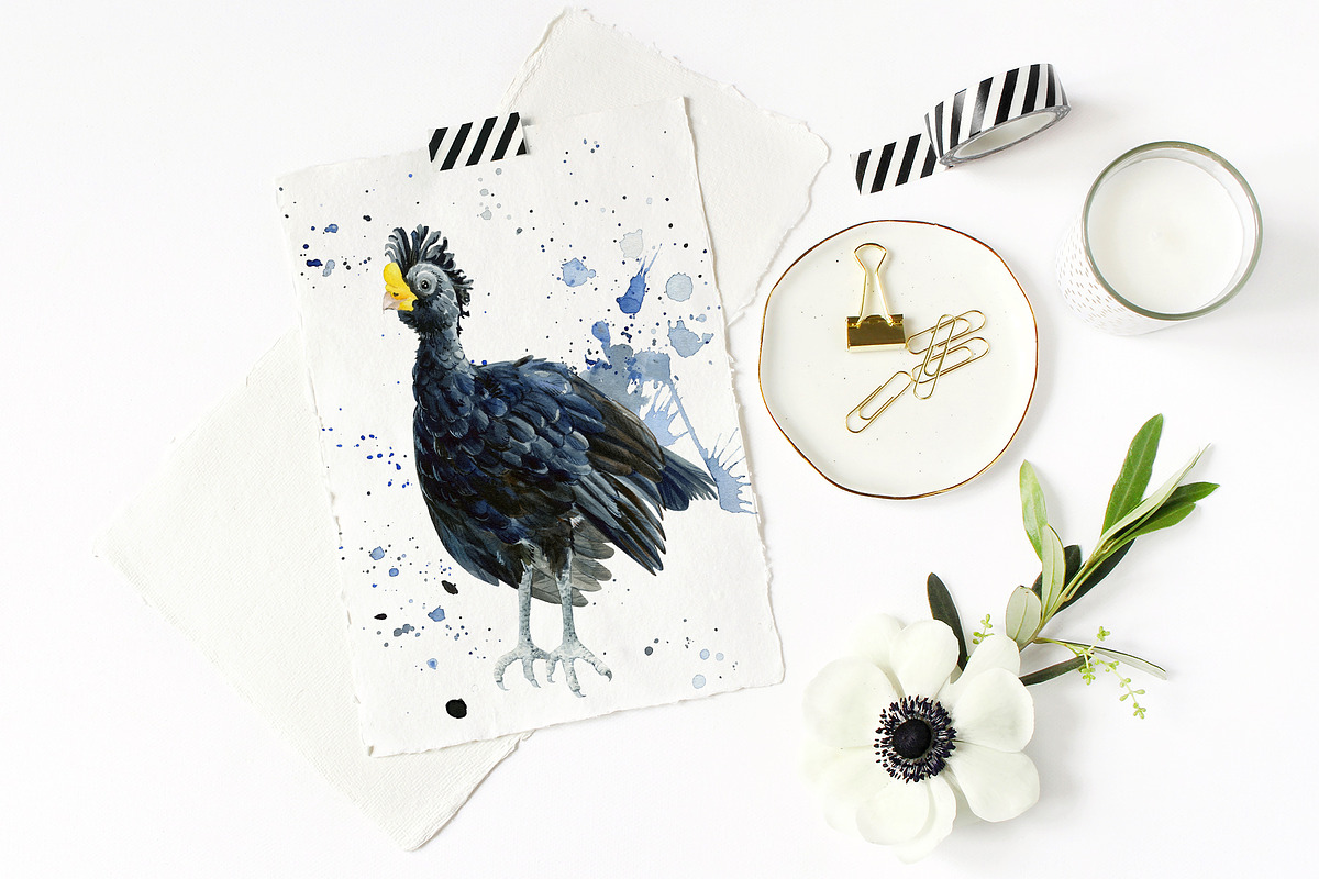 Tropical Birds, Watercolor painting, an Animal Illustration by Hanna Hryharenka (Photo 11 of 13)