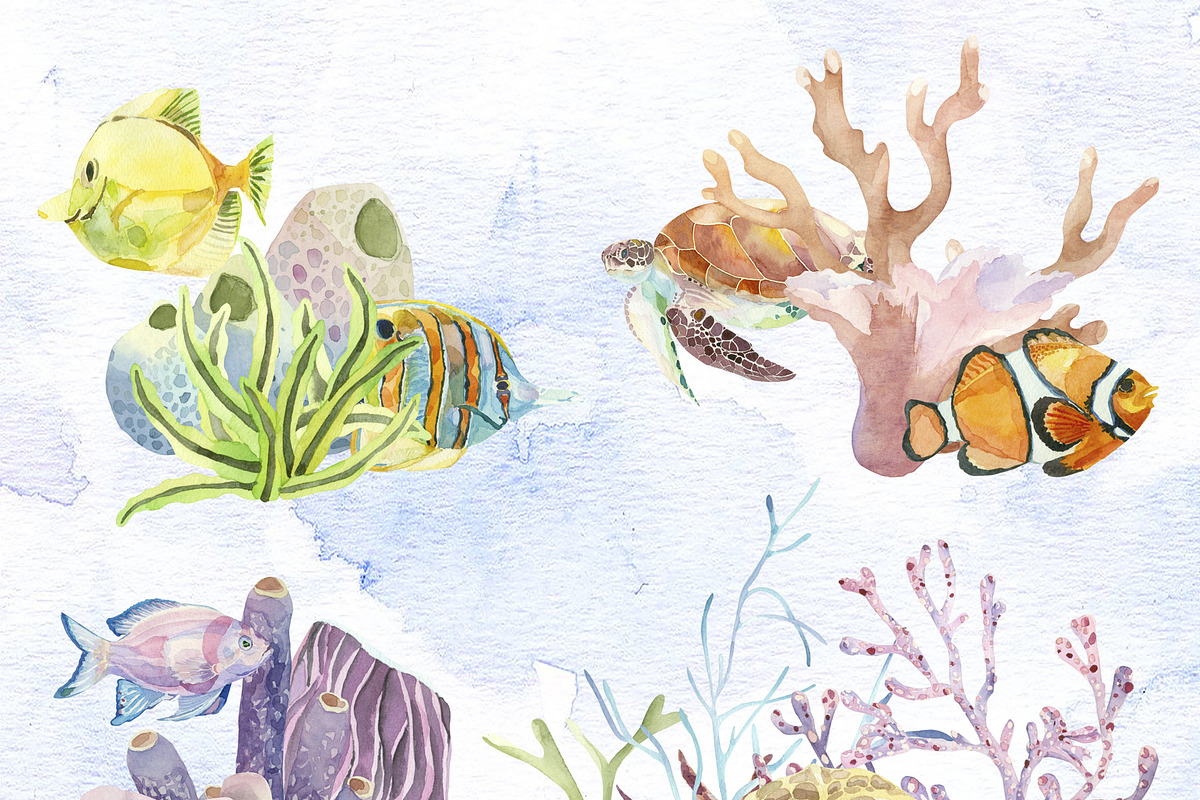 Watercolor set of underwater life, an Animal Illustration by Watercolor arts (Photo 8 of 8)