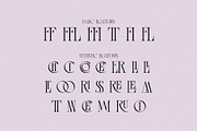 Melted Etoile - Chic Ligature Serif, a Serif Font by Mikhail Fukurou (Thumbnail 4 of 8)