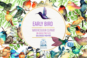 95 Bird Watercolor Clipart Graphics