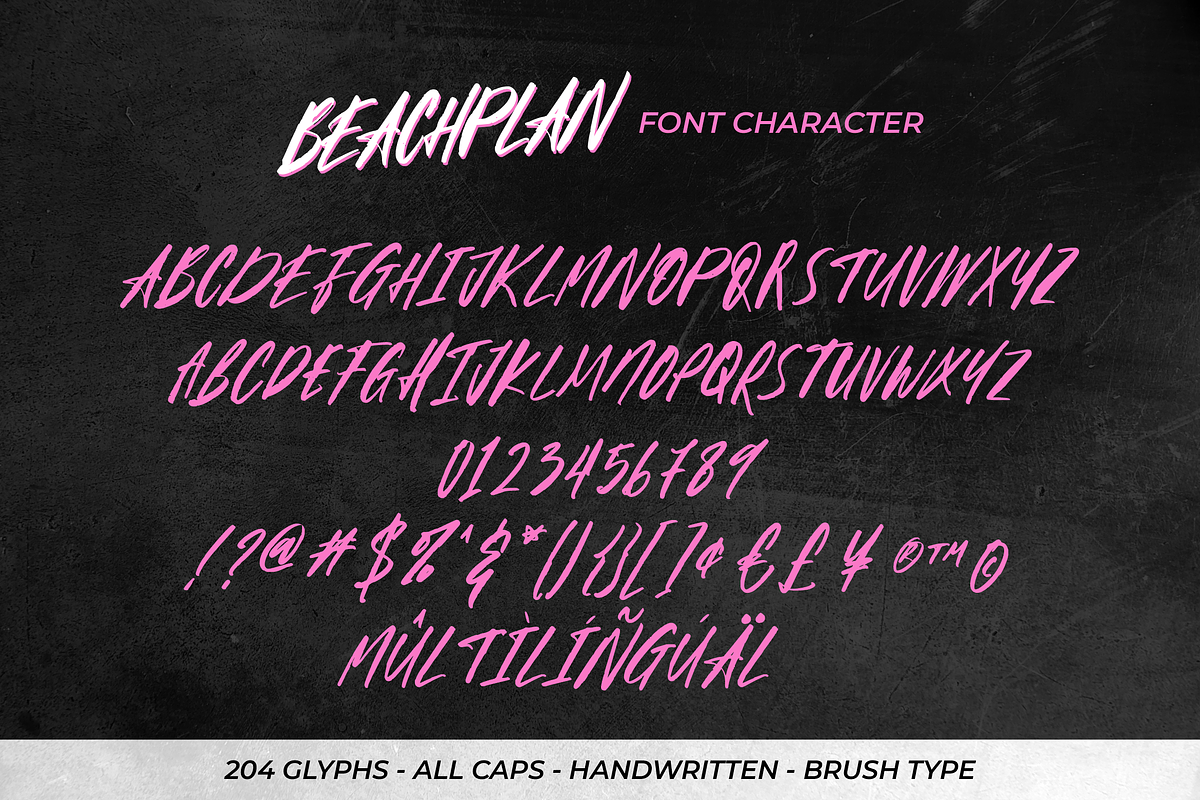 Beachplan Script, a Script Font by 24Design Studios (Photo 7 of 7)