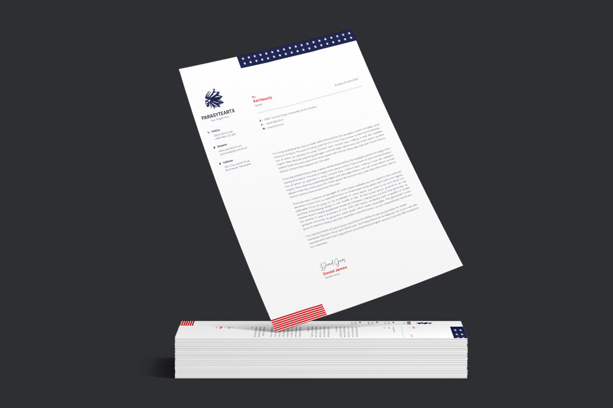 Political Election Letterhead, a Resume Template by iDoodle Studio (Photo 2 of 4)