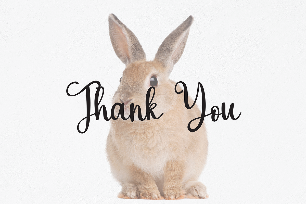 Bunny | Script Font, a Script Font by Scratchones (Photo 5 of 8)