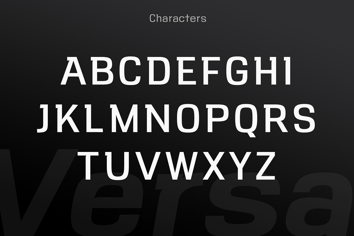 VersaBlock Pro Font + Extras, a Sans Serif Font by Parker Creative (Photo 10 of 13)