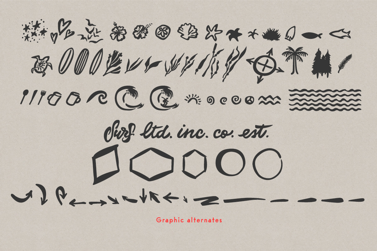 Alinka Brush Font, a Sans Serif Font by Magpie Paper Works (Photo 11 of 11)