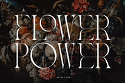 The Modern Typography Bundle, a Serif Font by Ivan Rosenberg (Thumbnail 54 of 58)