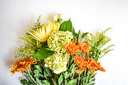 Fall Holiday Photo Bundle, a Graphic by Hudson Farmhouse (Thumbnail 5 of 7)