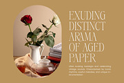 Aska Modern Elegant Serif Font, a Serif Font by timelesstype.co (Thumbnail 14 of 20)