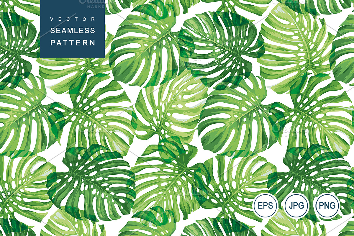 Vector pattern. Monstera., a Pattern Graphic by Anna Smirnova (Photo 1 of 5)