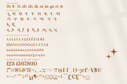 Megasta Signateria Font Duo Typeface, a Serif Font by Storytype Studio (Thumbnail 13 of 15)
