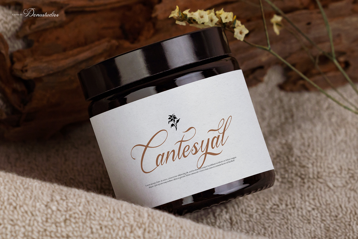 Anelyas | Modern Calligraphy, a Script Font by Denustudios (Photo 6 of 12)