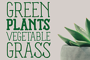 Panforte Serif - 6 fonts, a Serif Font by Zetafonts (Thumbnail 4 of 6)