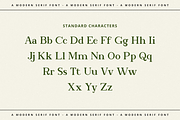 Bookinnes - Business Font, a Serif Font by RockboyStd (Thumbnail 9 of 12)