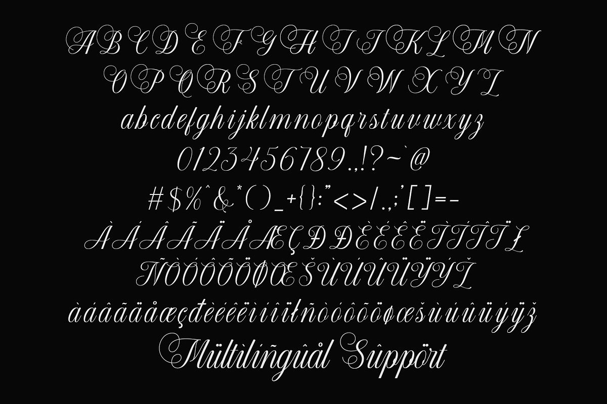 Blorivelle | Elegant Script Font, a Script Font by Typoraith Co (Photo 5 of 10)