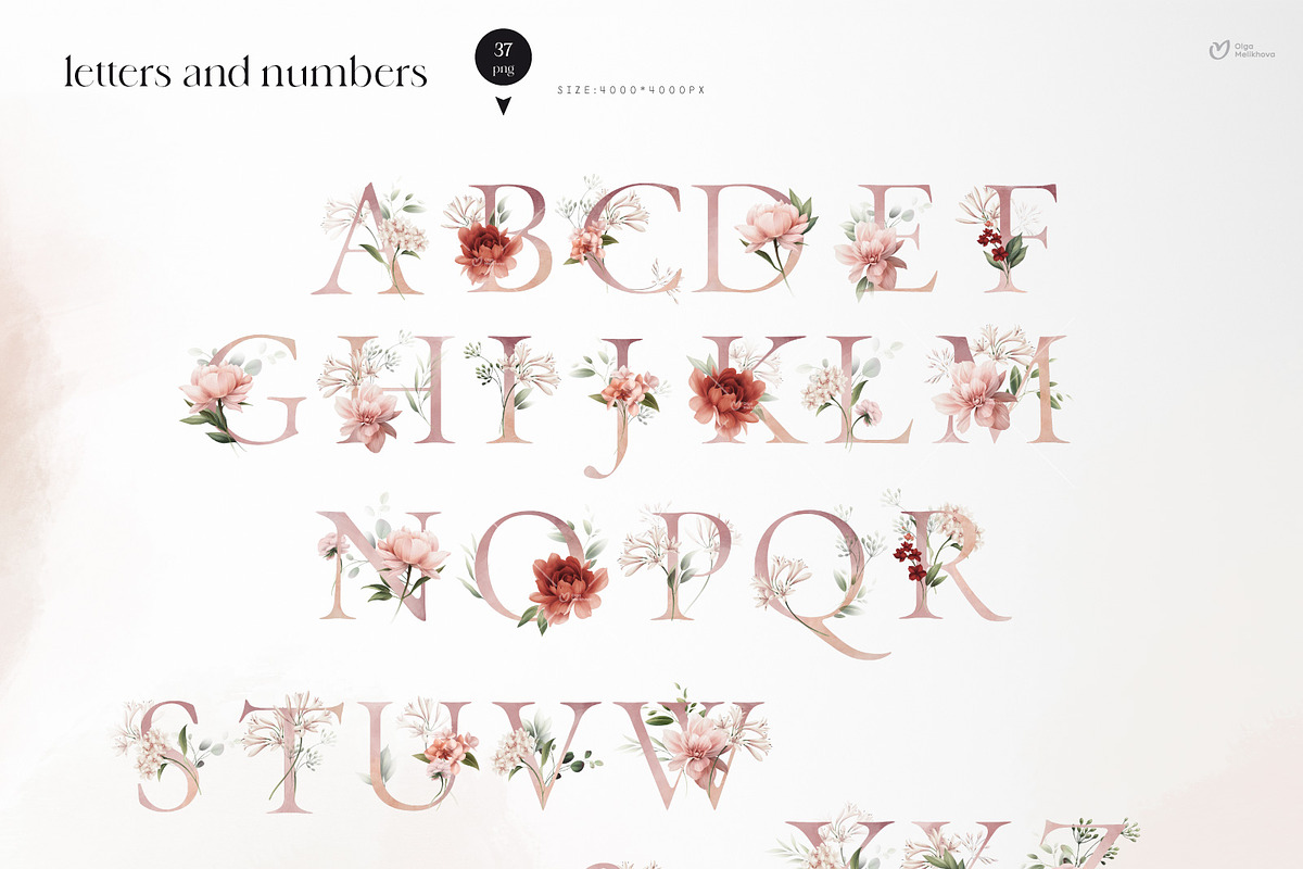 Flowers collection, floral clipart, an Illustration by ollalya (Photo 11 of 14)