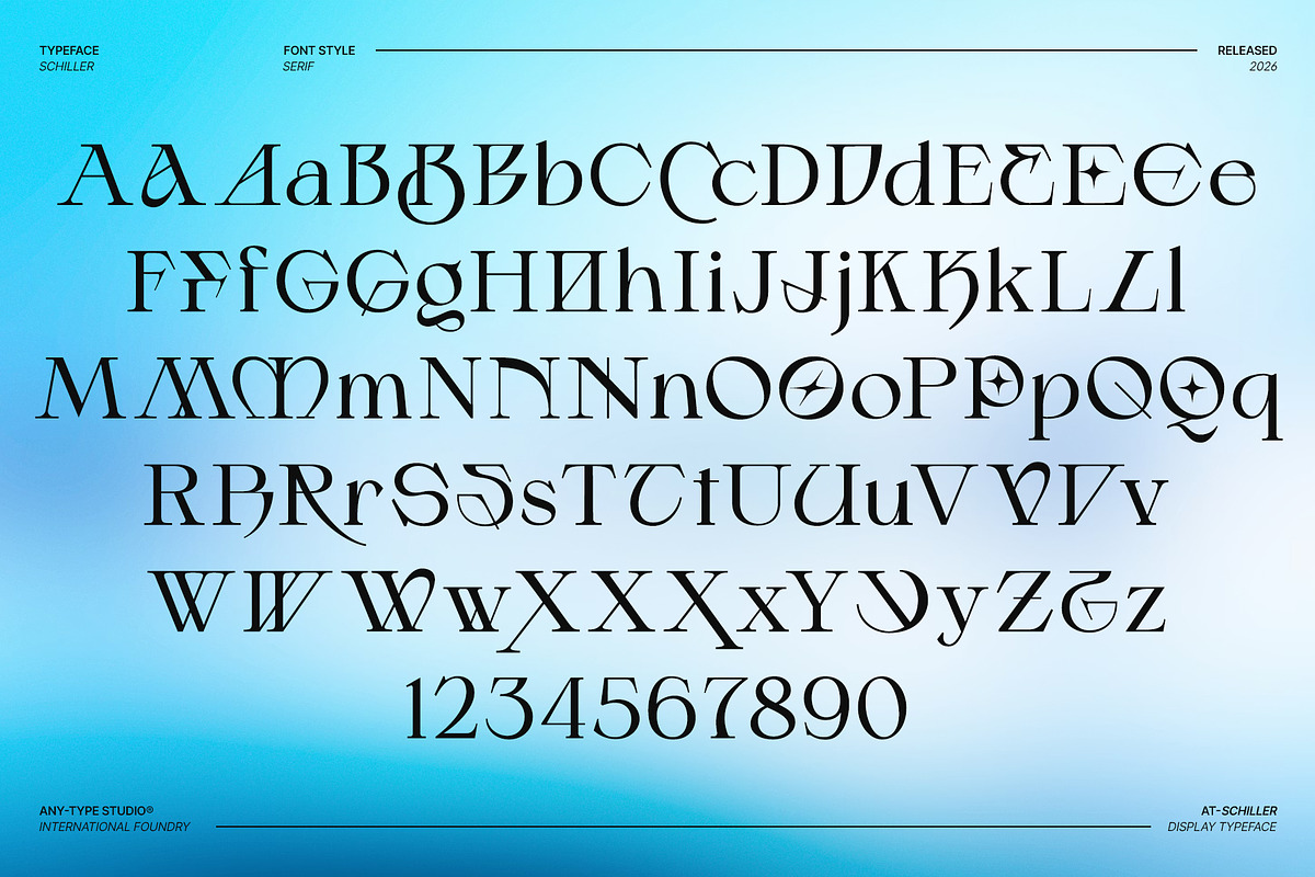 Schiller - Contemporary Serif, a Serif Font by Any-Type® Foundry (Photo 12 of 13)