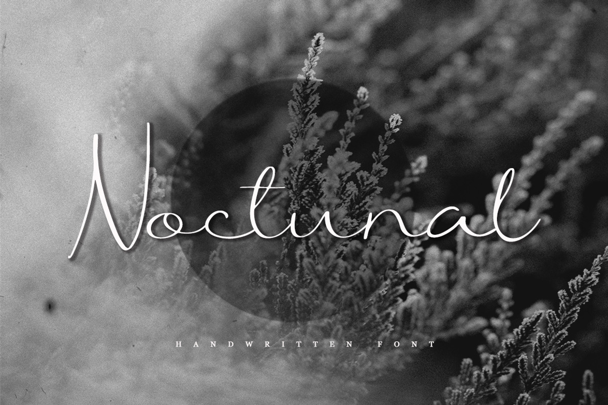 Noctunal / Sale