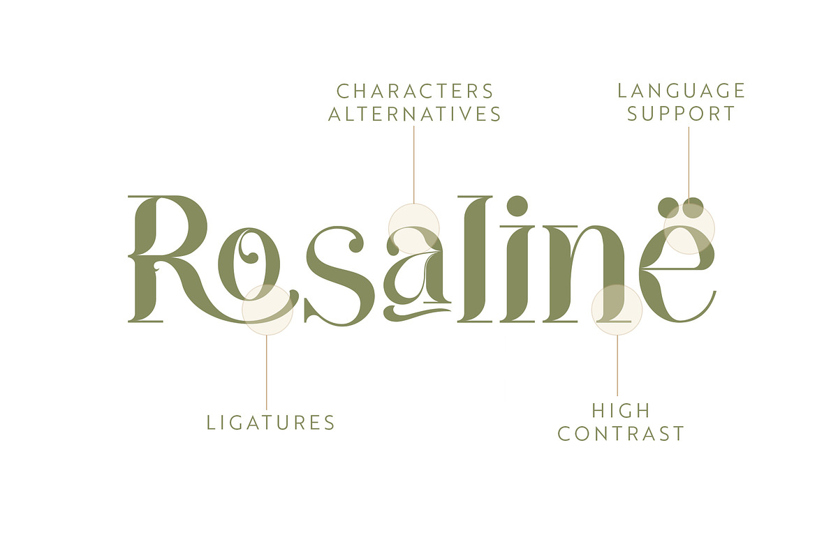 Cathleen|Vintage Ligature Serif Font, a Serif Font by Kandella's Art (Photo 4 of 17)