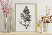Vintage Botanical Butterflies, a Decorative Illustration by youtoview (Thumbnail 4 of 15)