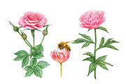 Watercolor Pink Flowers, an Illustration by Katya Zlobina (Thumbnail 7 of 9)