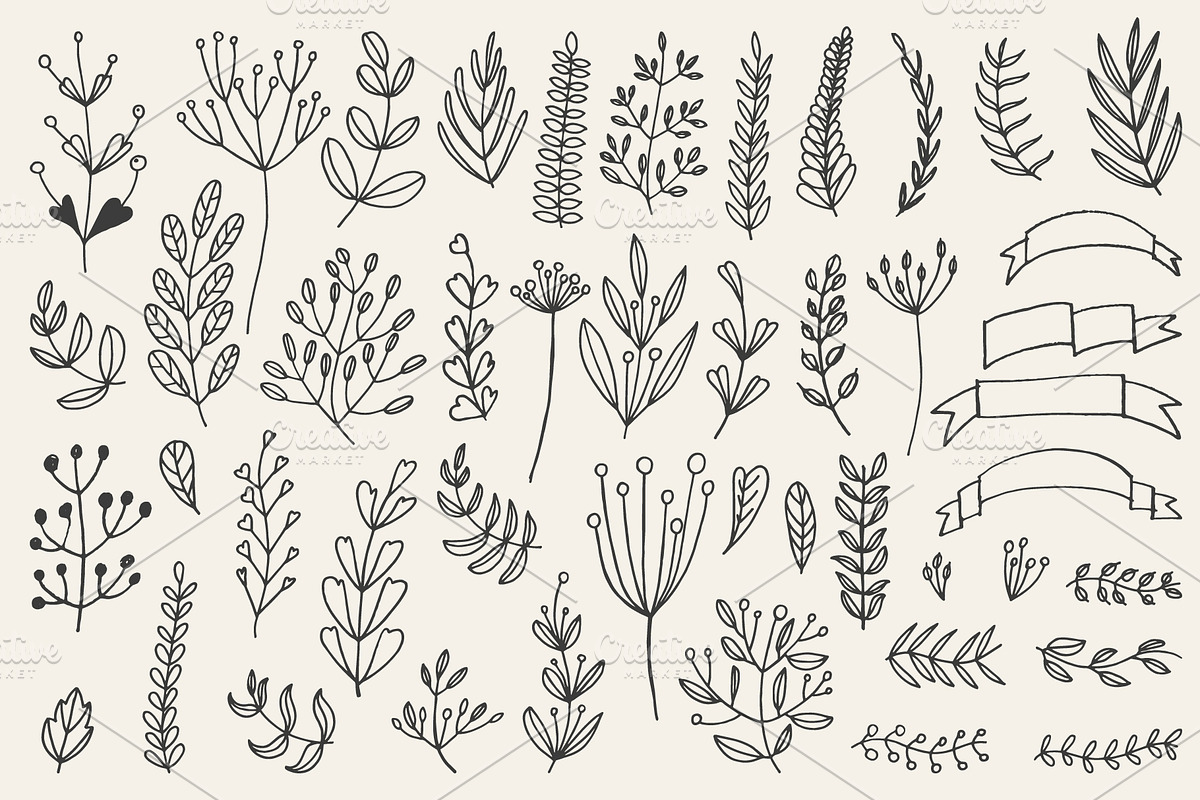 46 hand drawn floral elements, a Decorative Illustration by pixelwerk (Photo 3 of 3)